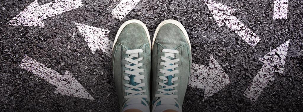 Two older adult couples , looking happy with a palm tree in the background